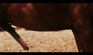 مذهلة فتاة آسيوية مقاطع سكسي اسرائيلي كس اللعب فيديو إباحي 