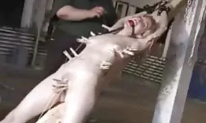 زوجة شابة افلام قصص سكسي فيديو إباحي 