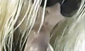 مفلس سكسي يا بني التعري فيديو إباحي 
