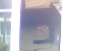 الساخنة الإيطالية سمراء يلهون فلم سكسي اسرائلي مع اثنين من الديوك فيديو إباحي 